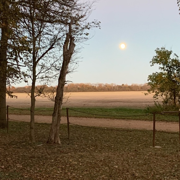 Meet your Posher, Faye - Picture 5 of 6